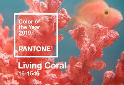 2019 Color of the Year: Living Coral