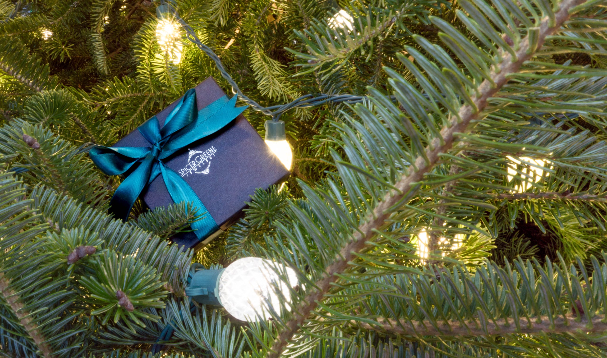 Holiday Trunk Shows at Spicer Greene Jewelers (Thursday, December 12,