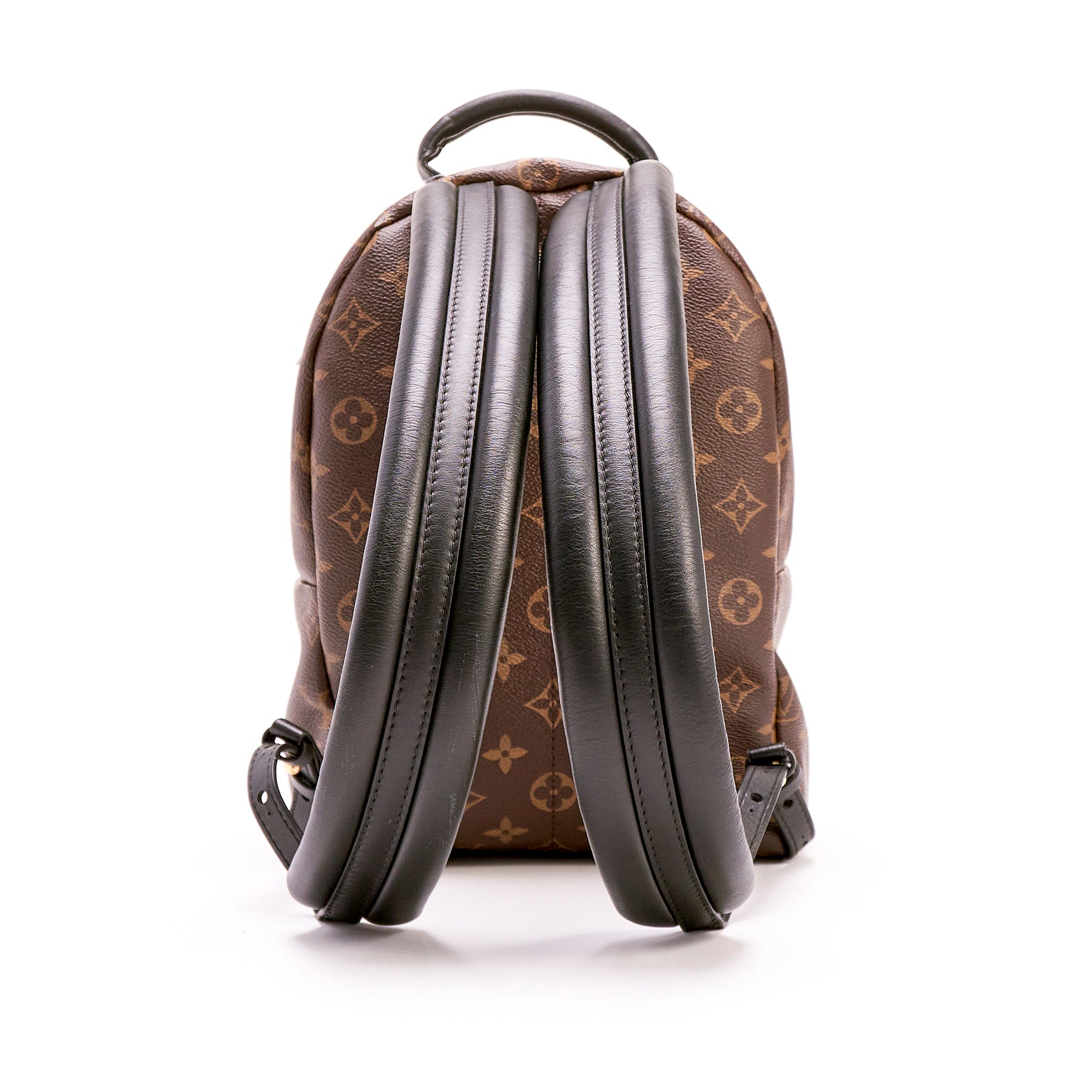 Louis Vuitton, Bags, Lv Brown Monogram Reverse Canvas Leather Palm  Springs Pm Backpack